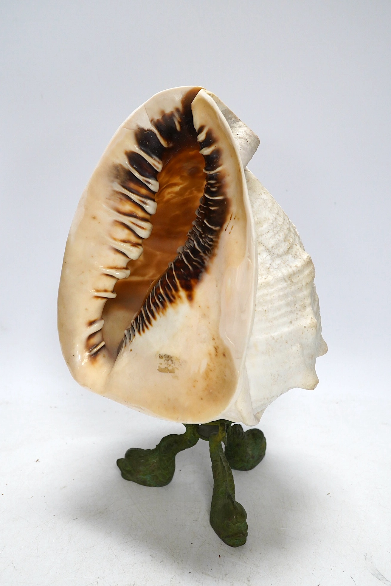 A late 19th/early 20th century large Neapolitan carved conch shell on bronze ‘dolphin’ base, height 29cm. Condition - fair, splinter chips to reverse